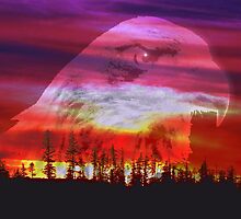 One Of These Nights by Gail Bridger