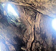 Up from the bottom by Dalton Sayre