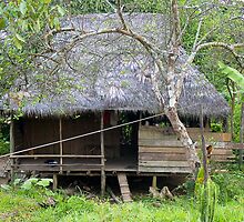 Typical house in the jungle, Iquitos, Peru by juan jose Gabaldon