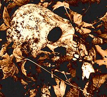 Cold Case by janetlee