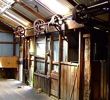 Inside the shearing shed by SDJ1