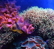 Under The Sea by Samantha Dean