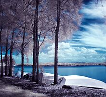 Everlasting Gaze by Naomi Frost