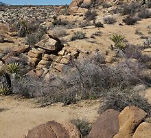 Desert Rock Formations by Nickolay Stanev