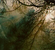 surface by butchart
