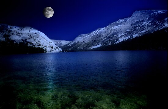 Moonlight Serenity by David Lampkins