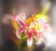 Stargazer Lilies #19 by Dawna Morton