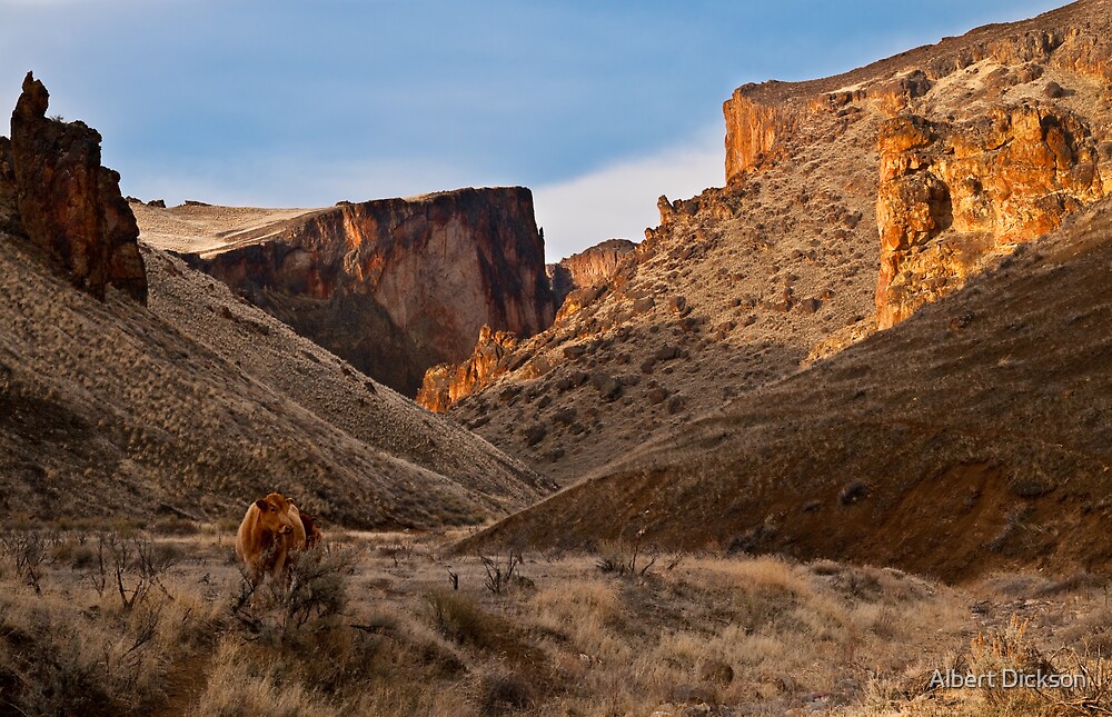 "Three Fingers Gulch, Owyhee Mountains, Malheur County, Oregon" by