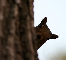 Oh Hey! by Victoria DeMore