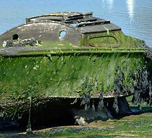 boat sunk gosport creek by tilly