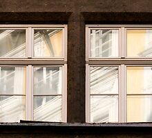 The Opposite by Walter Quirtmair