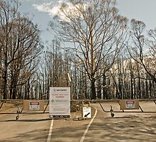 Kinglake National Park Gates by mspfoto