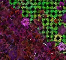 Blooms by dmark3