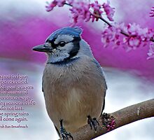Expectations by Bonnie T. Barry
