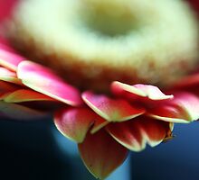 L`obscurité est dans notre coeur, mais la lumière aussi by wise