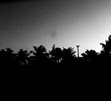 Silhouetted Skyline II by Amber Kipp
