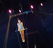 She Flies Through the Air by Karen Checca