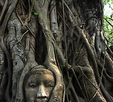 Thailand by Adew
