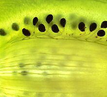 Abstract Kiwifruit - Beautiful by Alex Ball