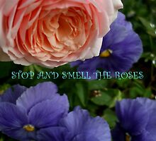 STOP AND SMELL THE ROSES by artist4peace