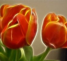 fractal tulips by Cheryl Dunning