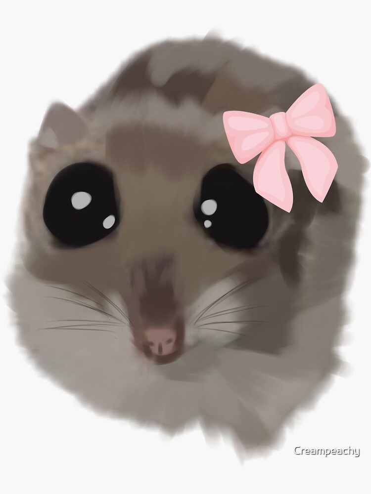 Coquette Sad Hamster Meme Sticker For Sale By Creampeachy Redbubble