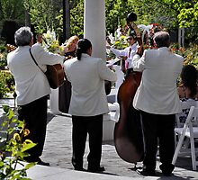The Wedding Players by Lenny La Rue, IPA