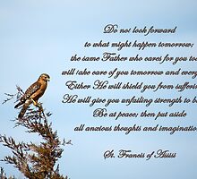 Put aside all anxious thoughts (dedicated to Ella Pryor) by Bonnie T. Barry