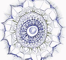 Focus on the Flower by Helena Haidner