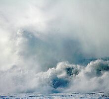One Heck of a Wave! by Polly Peacock