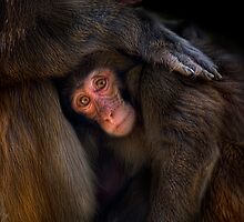 Precious Moment by Cheri McEachin