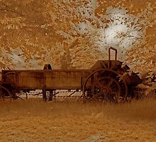 Rural Rust by Dennis Burlingham