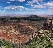 Mojave view by Brett Williams