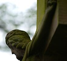Saviour by Rowan Lewgalon