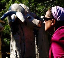 Don't blink!!! by Barbara Gerstner