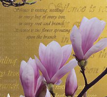 Silence is ... Inspired by a poem by Elaine Maria Upton by EvaBridget