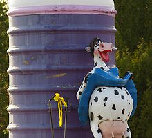 Happier than a California Cow by Thomas Sielaff