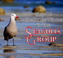 Seagulls Group Entry by LjMaxx