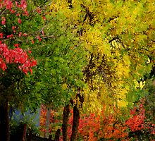 Colour My World by Kathryn Potempski