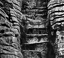 stone steps. punakaiki, aotearoa by tim buckley | bodhiimages