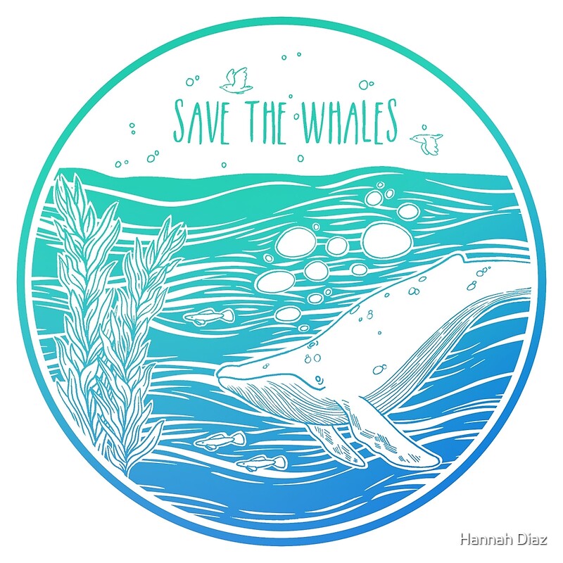 "Save the Whales!" Posters by Hannah Diaz | Redbubble