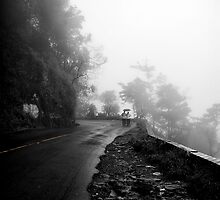 Rain and gloom by Vikram Franklin