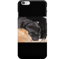 iphone xs sleeping dogs