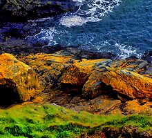 Intertidal Zone by Grahame Newell