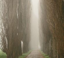 The road less travelled by Jeanne Horak-Druiff
