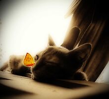 Sleeping Kitty by oddoutlet