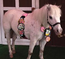 Sahara Pony by Chromium Dumb Belle