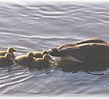 Mom & The Kids by Stephen Thomas