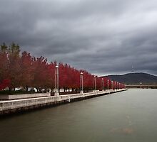 Lake Burley Griffin Sidewalk by Josh Boucher
