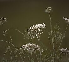 FLORAL INTENTION by Paul Quixote Alleyne